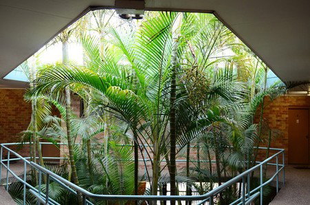 Bankstown Motel 10 - Hervey Bay Accommodation 5
