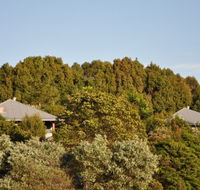 Tallaringa Views