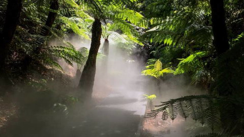 Australian National Botanic Gardens - Hervey Bay Accommodation 4