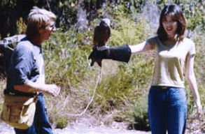 Eagles Heritage Raptor Wildlife Centre - Hervey Bay Accommodation 2