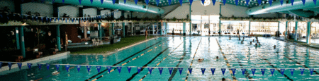 Belmont Oasis Aquatic Centre - Hervey Bay Accommodation 1