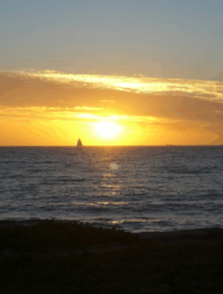Kidogo Arthouse - Hervey Bay Accommodation 1