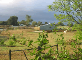 The House Of Honey - Hervey Bay Accommodation 2