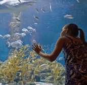 The Aquarium of Western Australia - Hervey Bay Accommodation