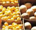 Brisbane Markets - Hervey Bay Accommodation
