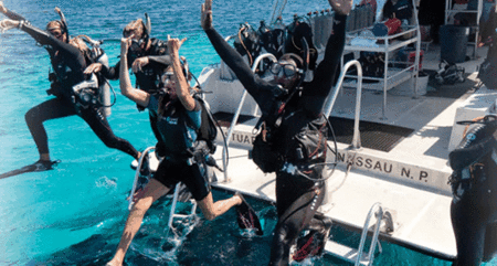 Snorkel Safari Brisbane - Hervey Bay Accommodation