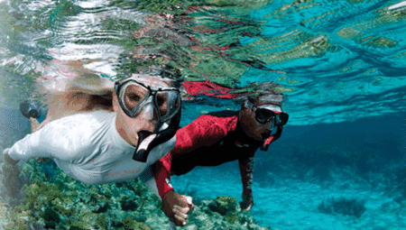 Snorkel Safari Brisbane - Hervey Bay Accommodation 1
