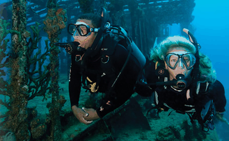 Snorkel Safari Brisbane - Hervey Bay Accommodation 2