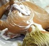 Exotique Massage - Hervey Bay Accommodation