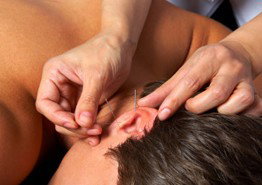 Melbourne Natural Wellness - Hervey Bay Accommodation 1