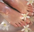 Orchid Day Spa - Hervey Bay Accommodation