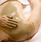 Norbu - Hervey Bay Accommodation 2