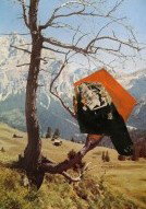 Gilligan Grant Gallery - Tourism Hervey Bay 3