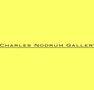 Charles Nodrum Gallery - Hervey Bay Accommodation