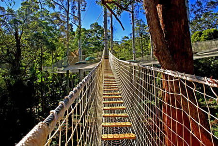  Tourism Hervey Bay
