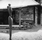 The Baldessin Press - Hervey Bay Accommodation