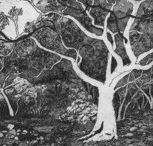 Tacit Contemporary Art - Hervey Bay Accommodation