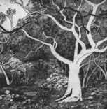 Tacit Contemporary Art - Hervey Bay Accommodation 0