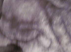 69 Smith Street - Tourism Hervey Bay 1