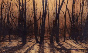 69 Smith Street - Tourism Hervey Bay 2