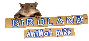 Birdland Animal Park - Hervey Bay Accommodation
