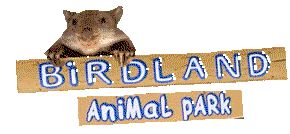 Book Batemans Bay NSW Attractions Hervey Bay Accommodation Hervey Bay Accommodation