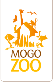 Mogo Zoo - Hervey Bay Accommodation