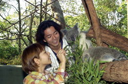 Taronga Zoo - Tourism Hervey Bay 2