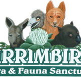 Wirrimbirra Sanctuary - Hervey Bay Accommodation