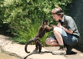 National Zoo & Aquarium - Hervey Bay Accommodation 1