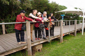 Phillip Island Penguin Parade - Hervey Bay Accommodation 1