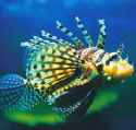 Underwater World - Hervey Bay Accommodation