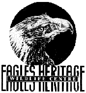 Eagles Heritage - Hervey Bay Accommodation