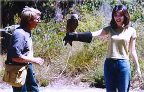 Eagles Heritage - Hervey Bay Accommodation 2
