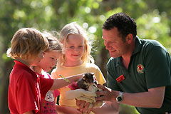  Hervey Bay Accommodation