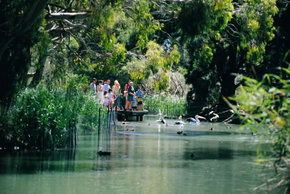 Cleland Wildlife Park - Hervey Bay Accommodation 1