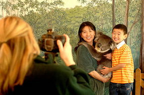 Cleland Wildlife Park - Hervey Bay Accommodation 2