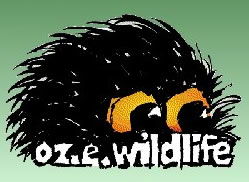 OZe Wildlife - Hervey Bay Accommodation 0