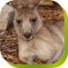  Hervey Bay Accommodation