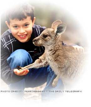 Australia Walkabout Wildlife Park - Hervey Bay Accommodation 1