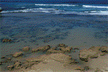 Braddon ACT Hervey Bay Accommodation