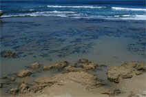 Canberra Contemporary Art Space - Hervey Bay Accommodation 0