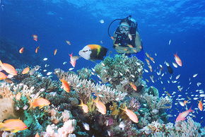  Hervey Bay Accommodation