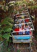 Scenic World Blue Mountains - Hervey Bay Accommodation 2