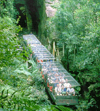 Scenic World Blue Mountains - Hervey Bay Accommodation 3