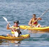 Manly Kayaks - Hervey Bay Accommodation