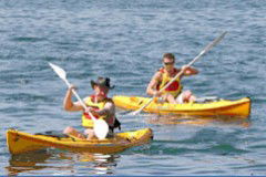 Manly Kayaks - Hervey Bay Accommodation 0