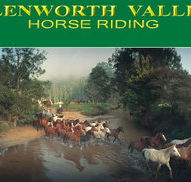 Glenworth Valley Horseriding - Hervey Bay Accommodation