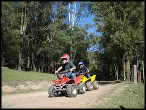 Glenworth Valley Horseriding - Hervey Bay Accommodation 3