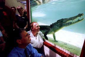 Alice Springs Reptile Centre - Tourism Hervey Bay 1